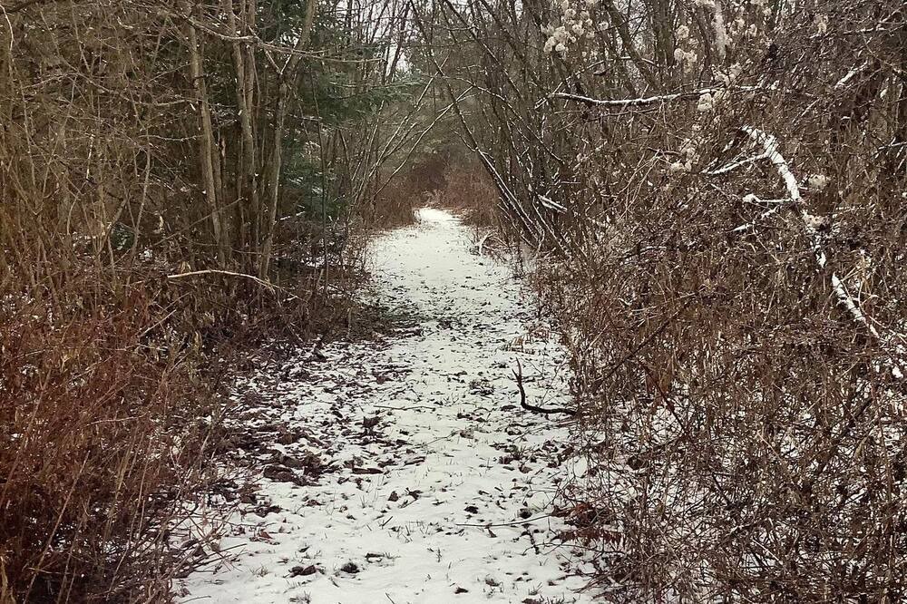 Photo of Outdoor in Potton