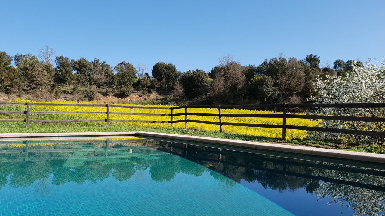 Photo of Outdoor in Sagas