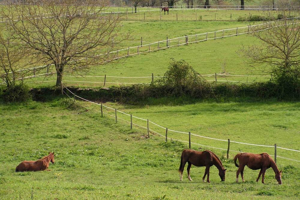 Photo of Outdoor in Pampelonne