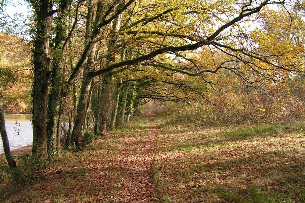 Photo of Outdoor in Pampelonne