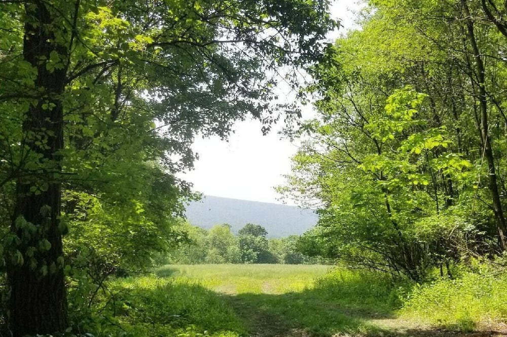 Photo of Others in Rehrersburg