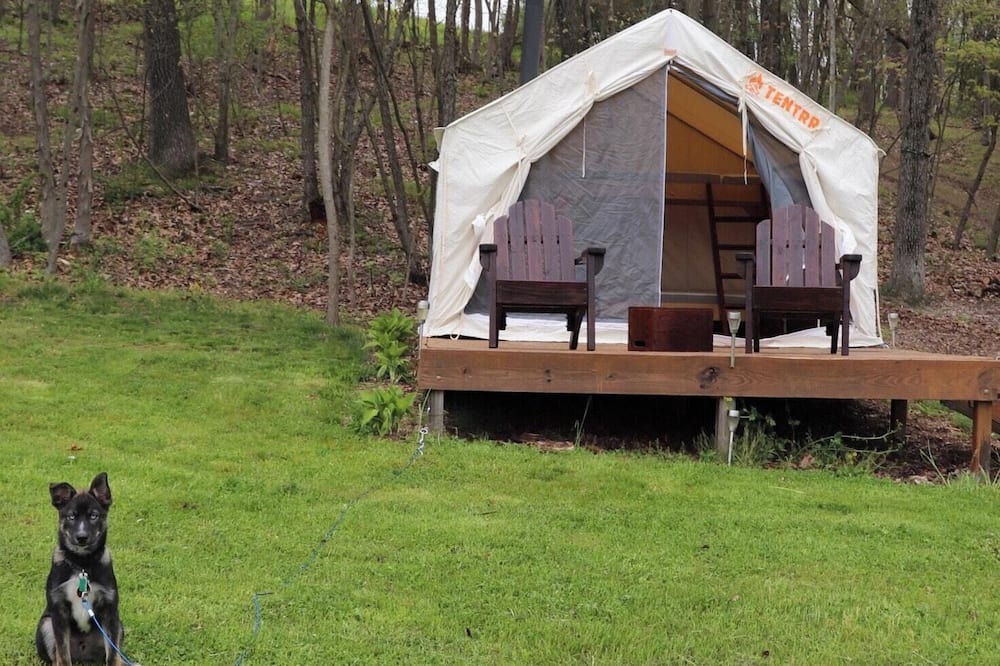 Photo of Others in Rehrersburg