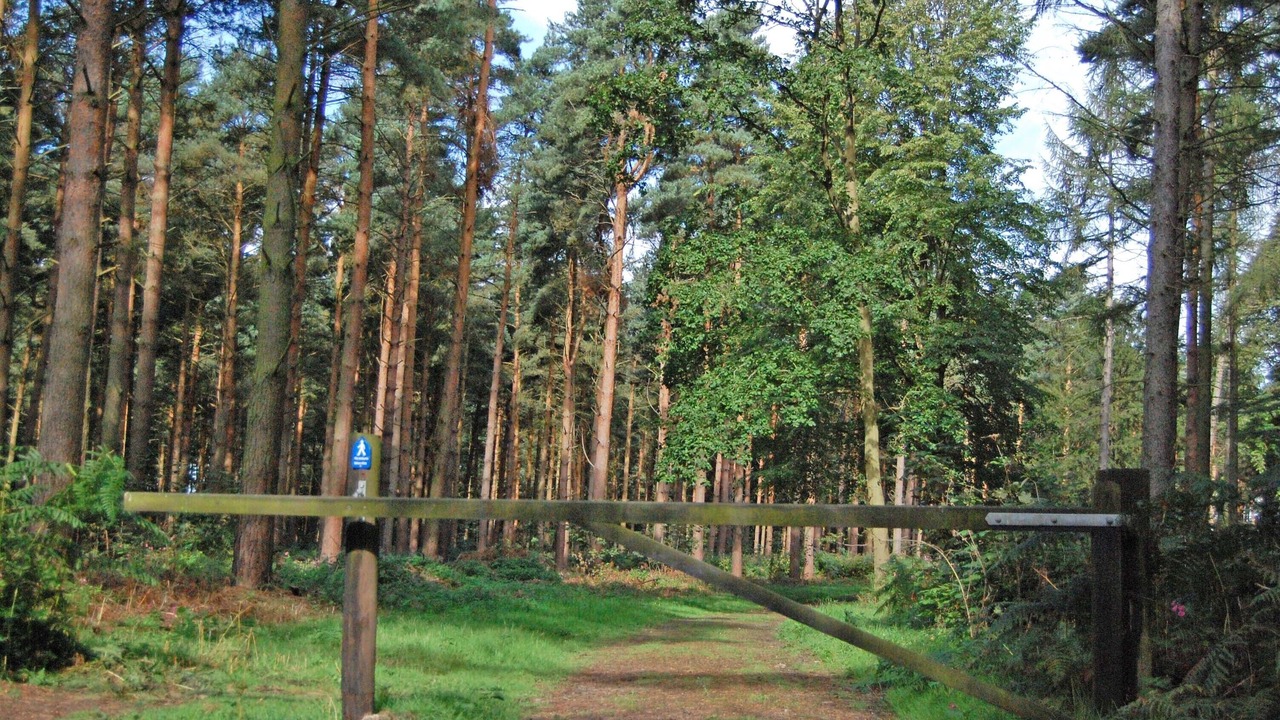 Photo of Others in Acomb