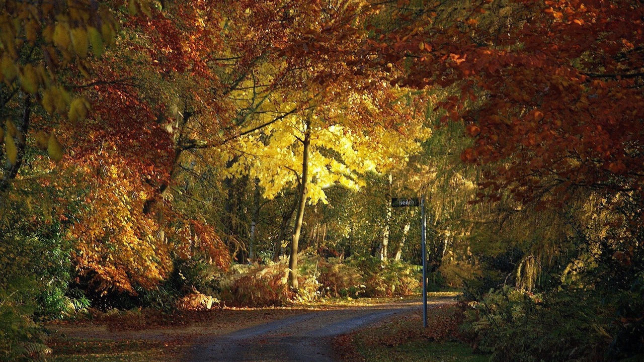 Photo of Outdoor in Acomb