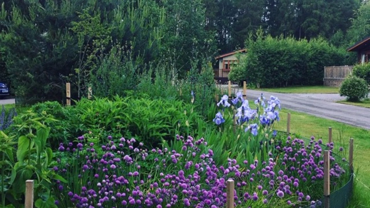 Photo of Outdoor in Acomb