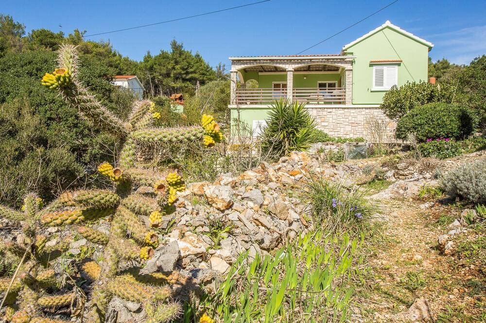 Photo of Outdoor in Potirna