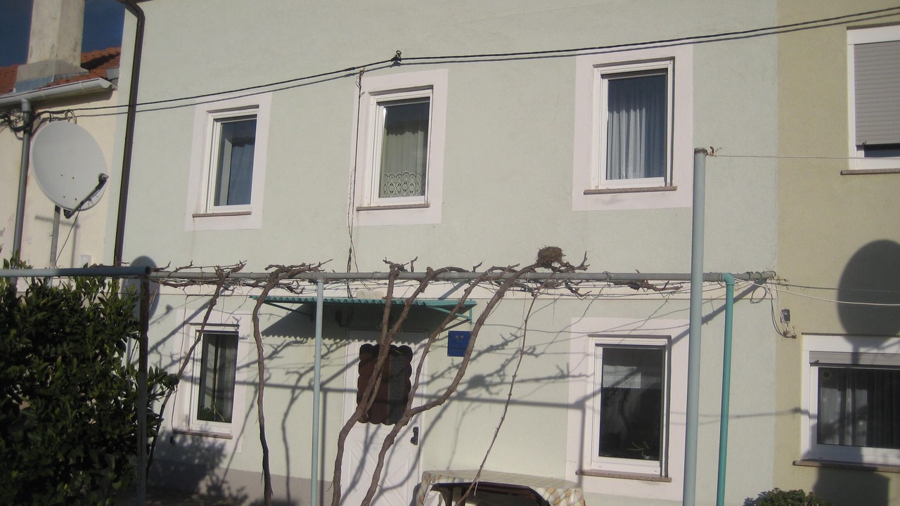 Photo of Outdoor in Olib