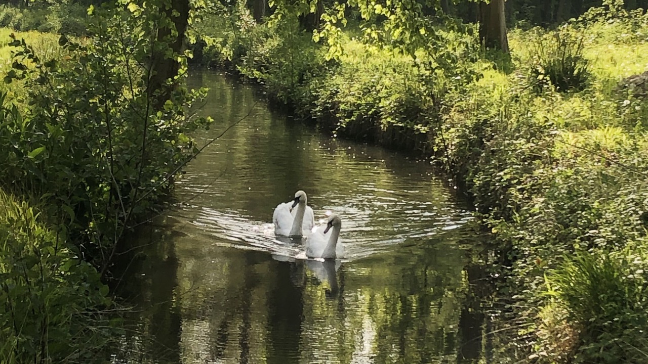 Photo of Outdoor in Le Plessis-Luzarches