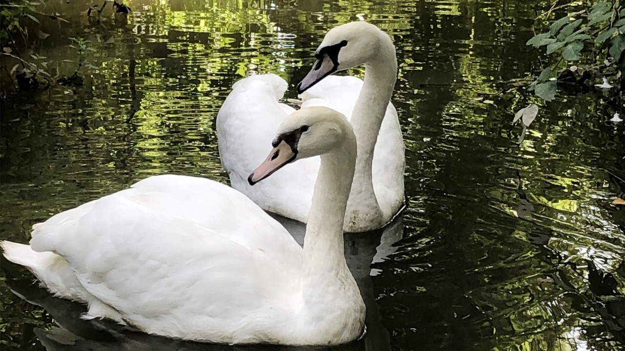 Photo of Outdoor in Le Plessis-Luzarches