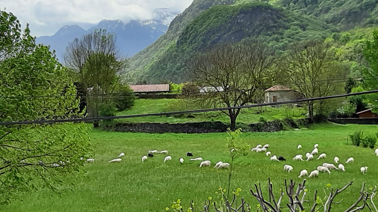 Photo of Outdoor in Salechan