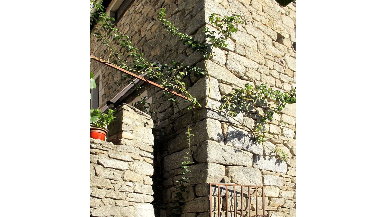 Photo of Others in Sainte-Marguerite-Lafigere