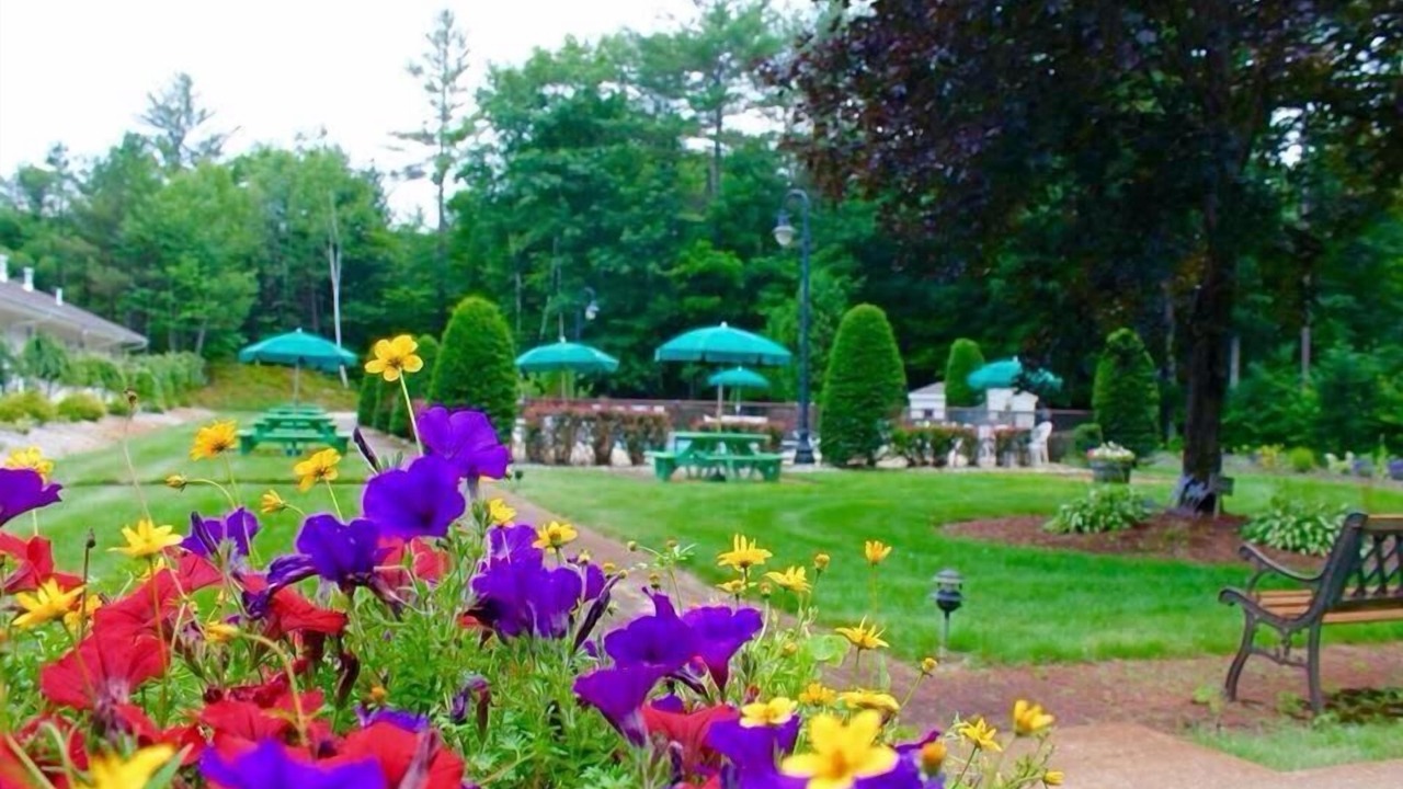 Photo of Outdoor in Bartlett