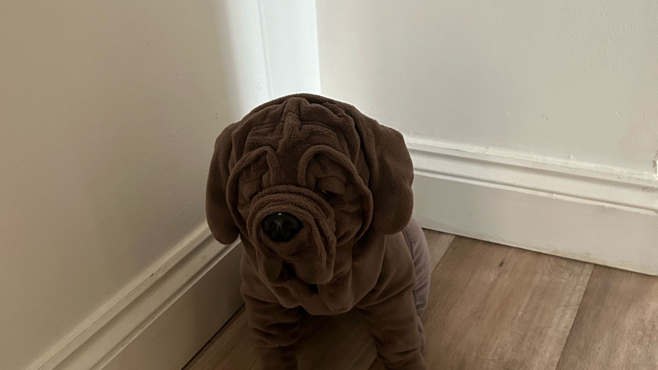 Photo of Outdoor in Watford