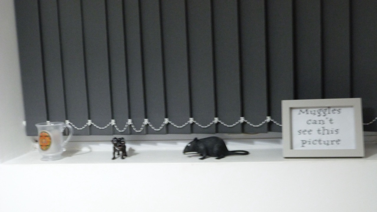 Photo of Outdoor in Watford