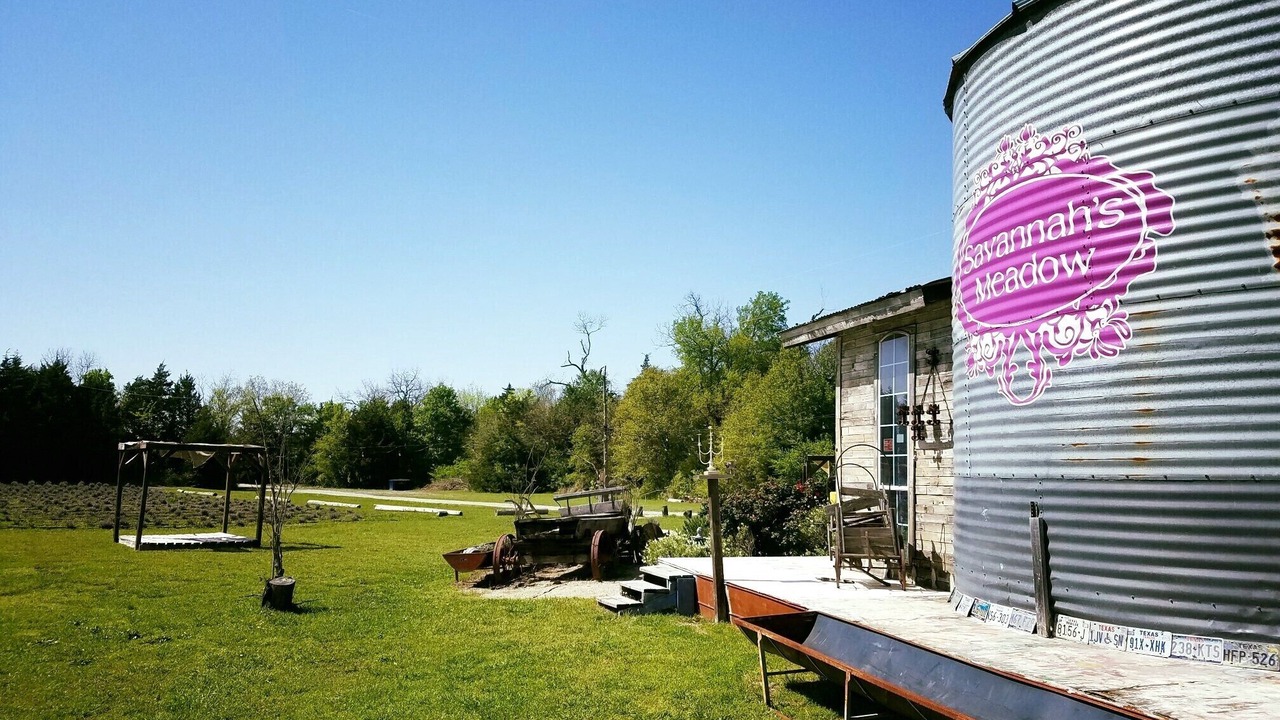 Photo of Outdoor in Celeste