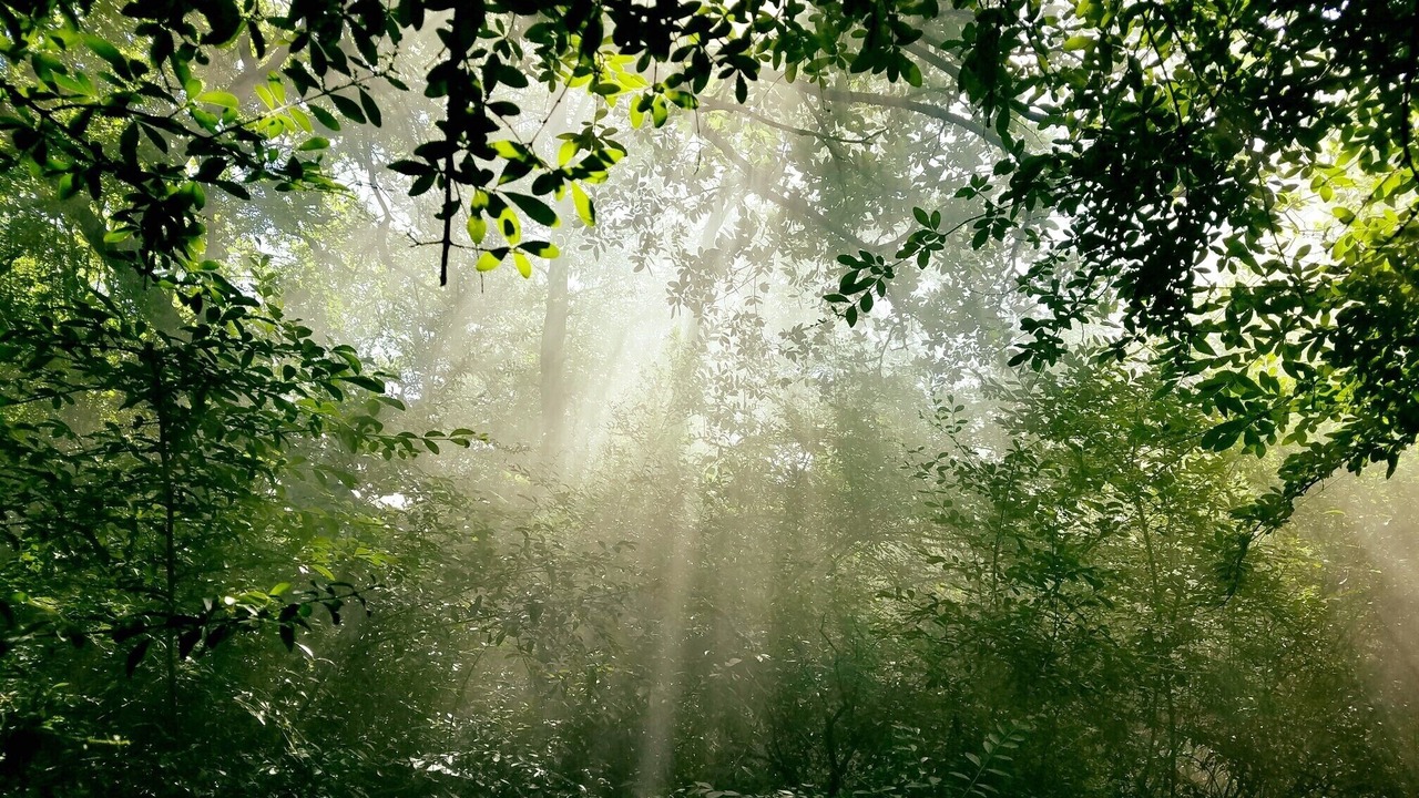Photo of Outdoor in Celeste
