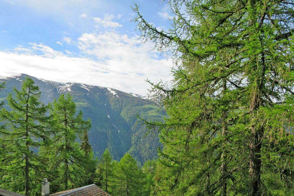 Photo of Others in Bellwald