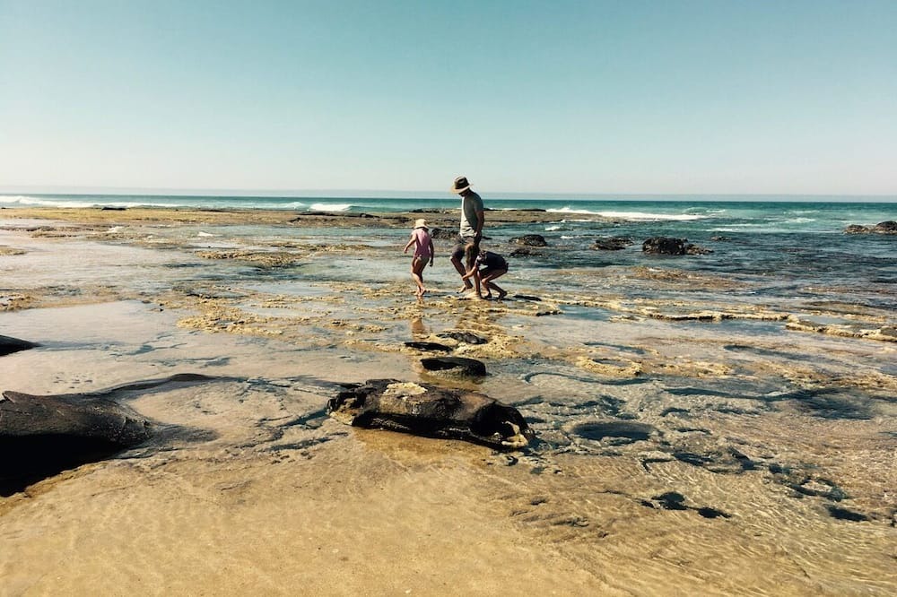 Photo of Others in Johanna