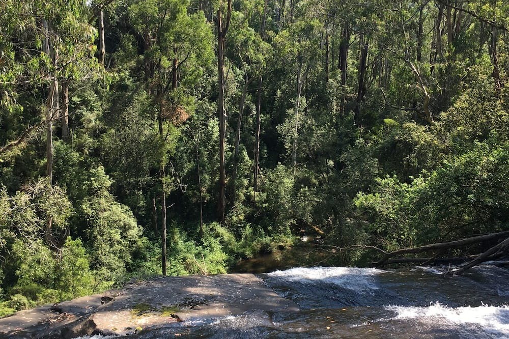 Photo of Outdoor in Johanna