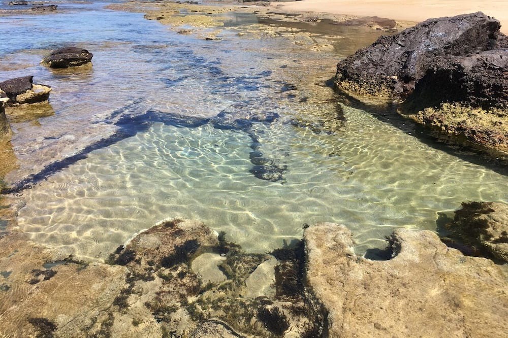 Photo of Others in Johanna