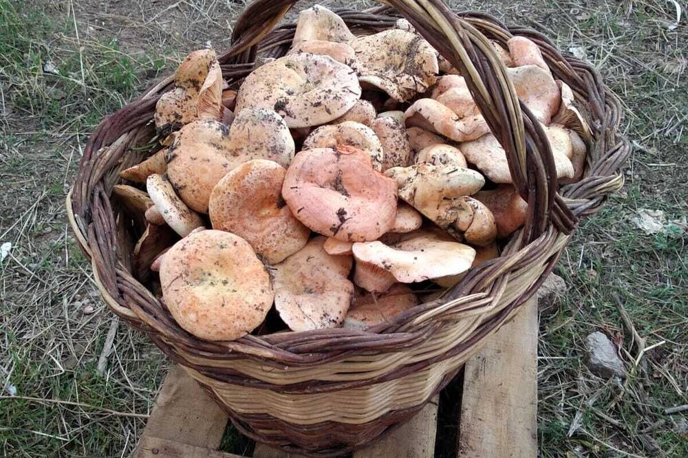 Photo of Outdoor in Castielfabib