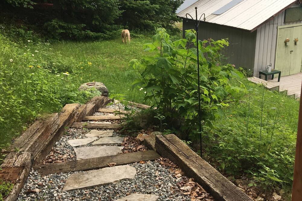 Photo of Outdoor in La Peche