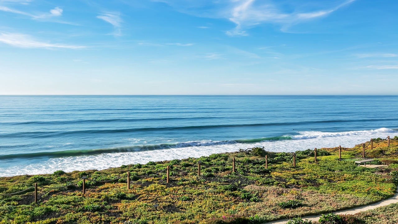 Photo of Others in Solana Beach