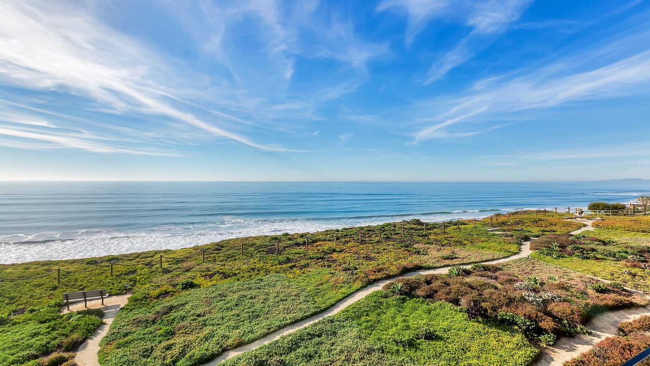 Photo of Others in Solana Beach