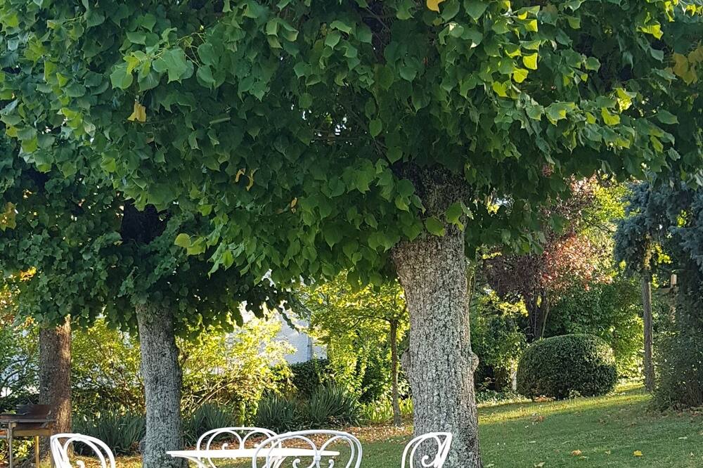 Photo of Outdoor in Brioude