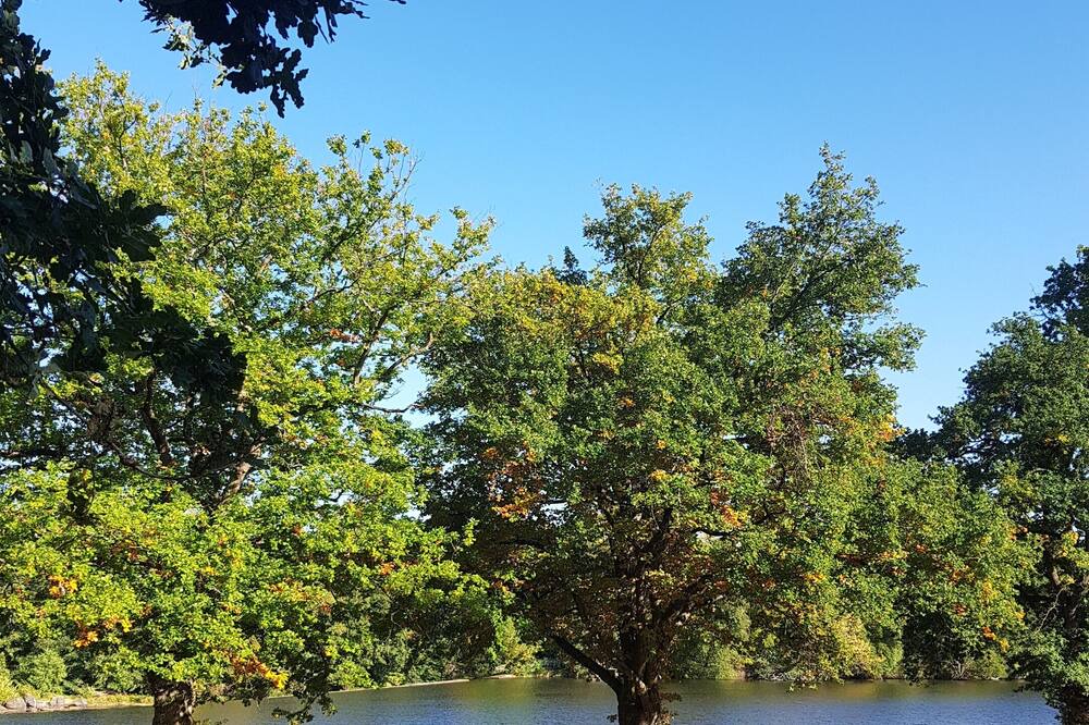 Photo of Outdoor in Brioude
