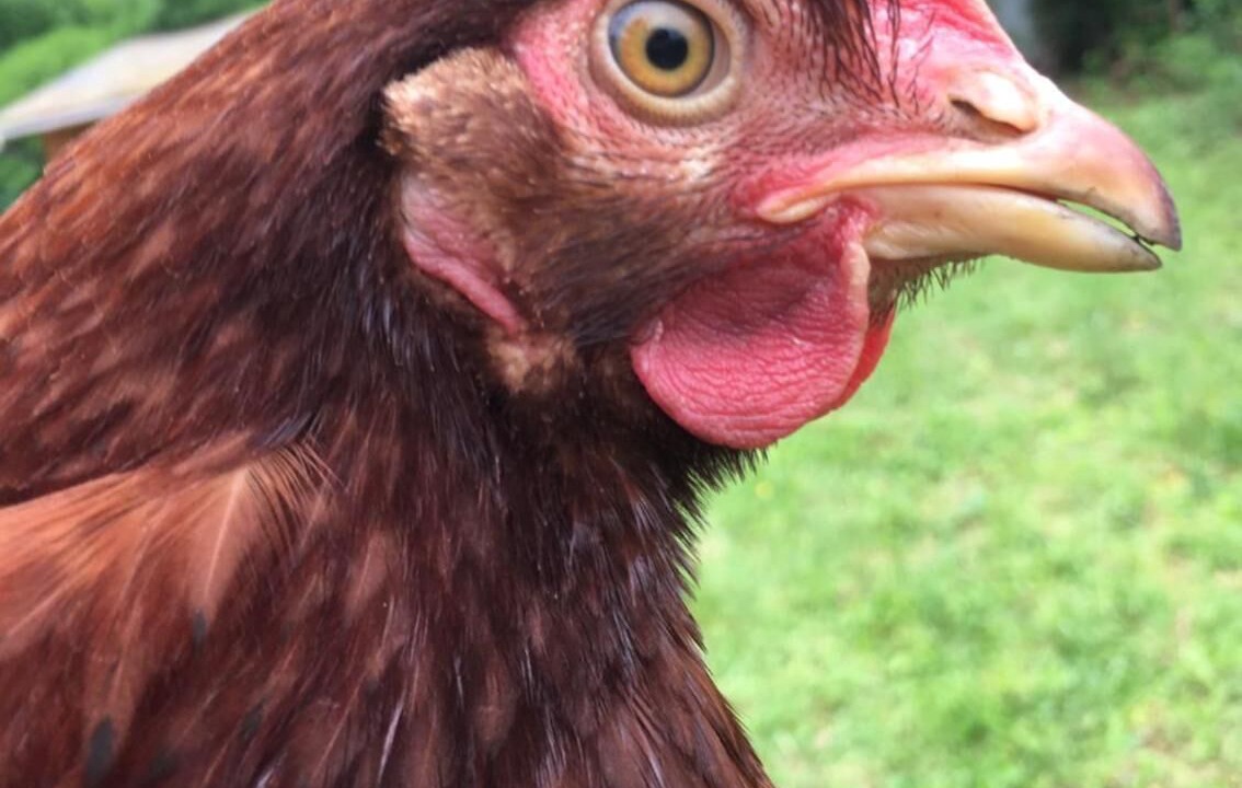 Photo of Outdoor in Nuits