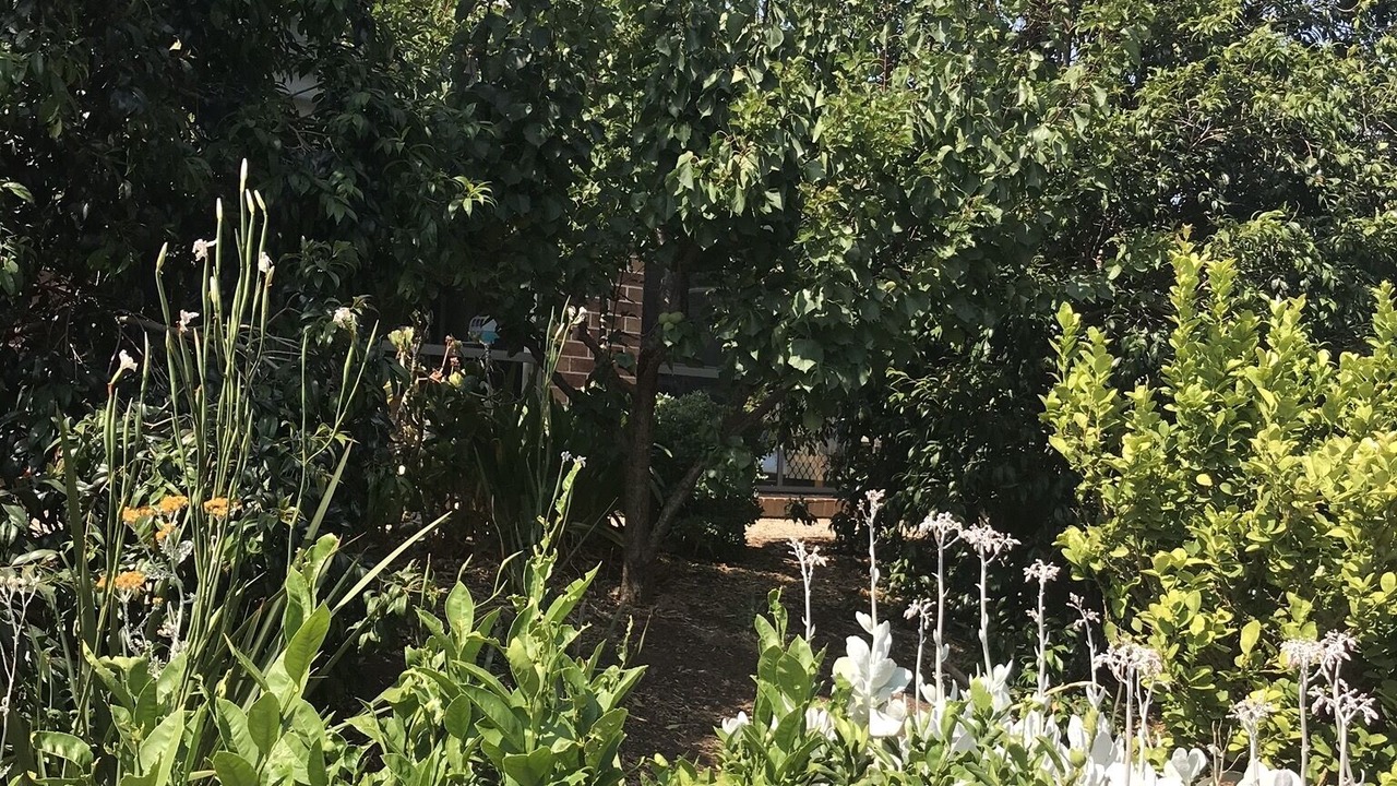 Photo of Outdoor in Darley