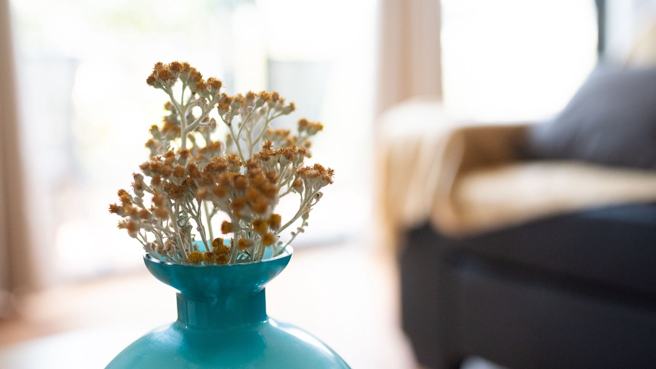 Photo of Others in Darley