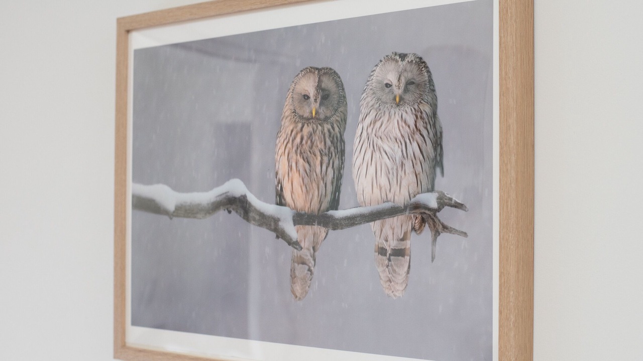 Photo of Others in Darley