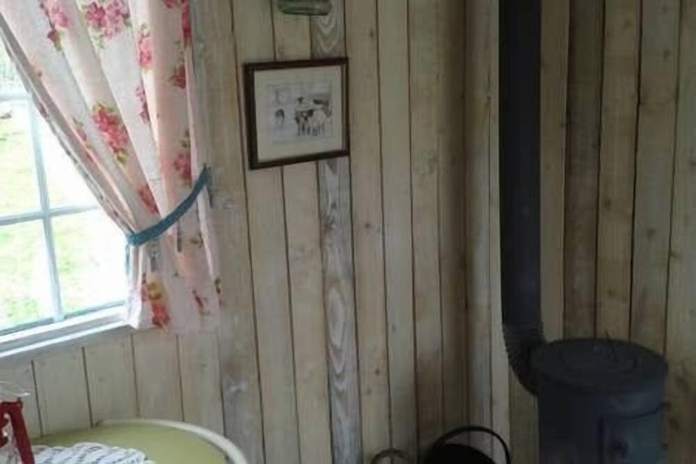 Photo of Others in Rhayader