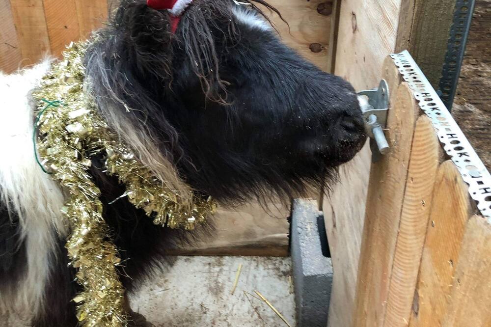 Photo of Others in Rhayader