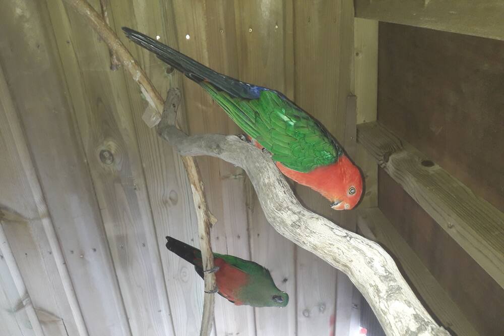 Photo of Others in Rhayader