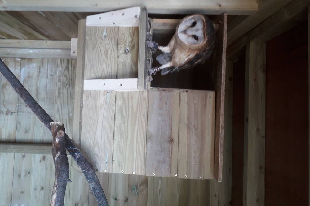 Photo of Others in Rhayader