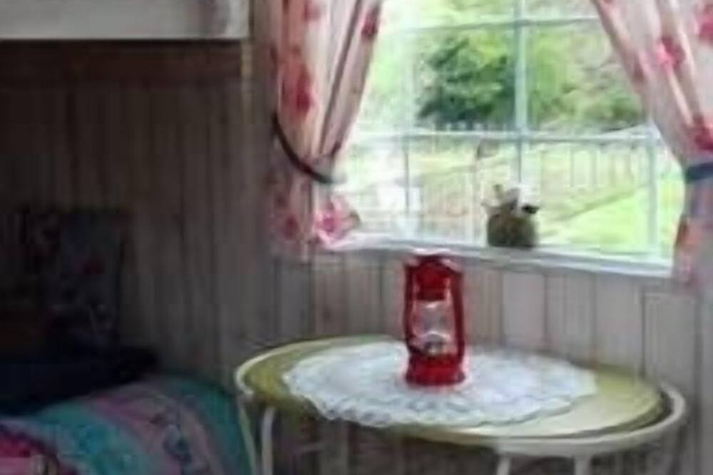 Photo of Others in Rhayader