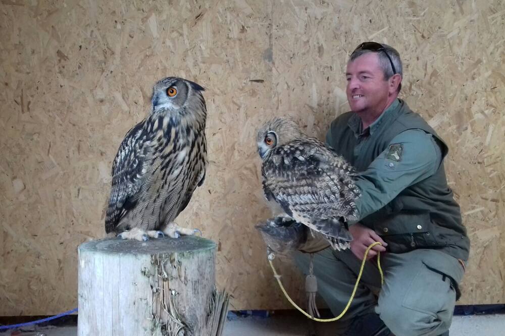 Photo of Others in Rhayader