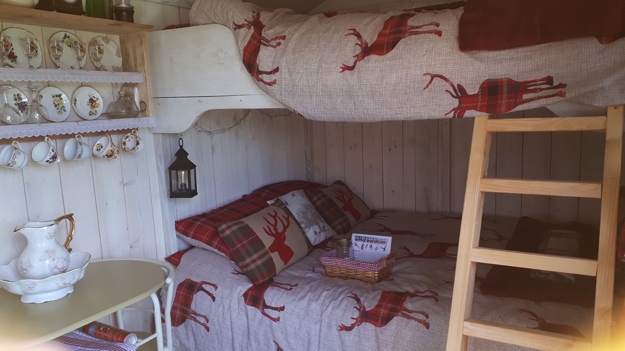 Photo of Others in Rhayader