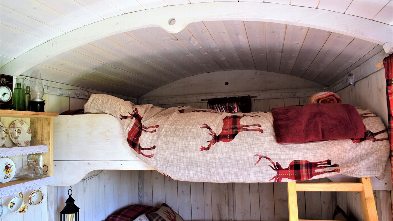 Photo of Others in Rhayader