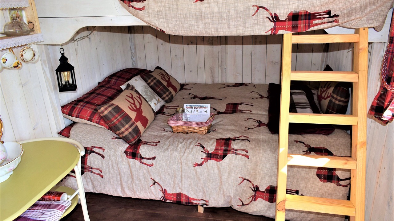 Photo of Others in Rhayader