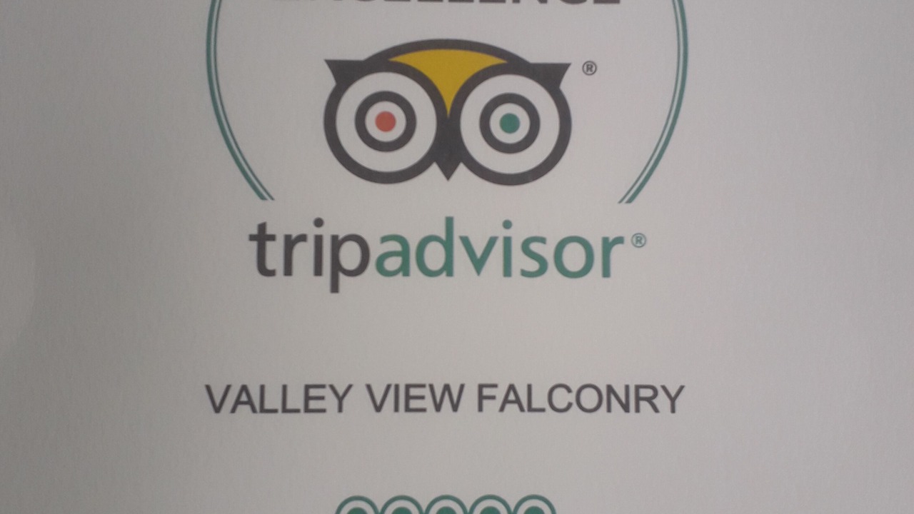 Photo of Others in Rhayader