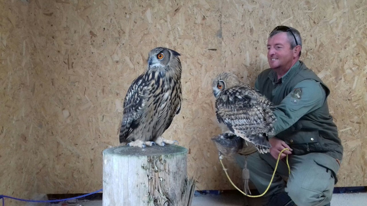 Photo of Others in Rhayader