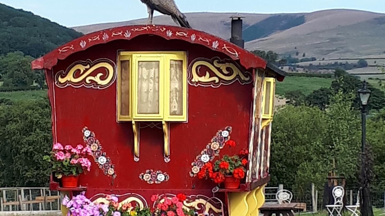 Photo of Outdoor in Rhayader