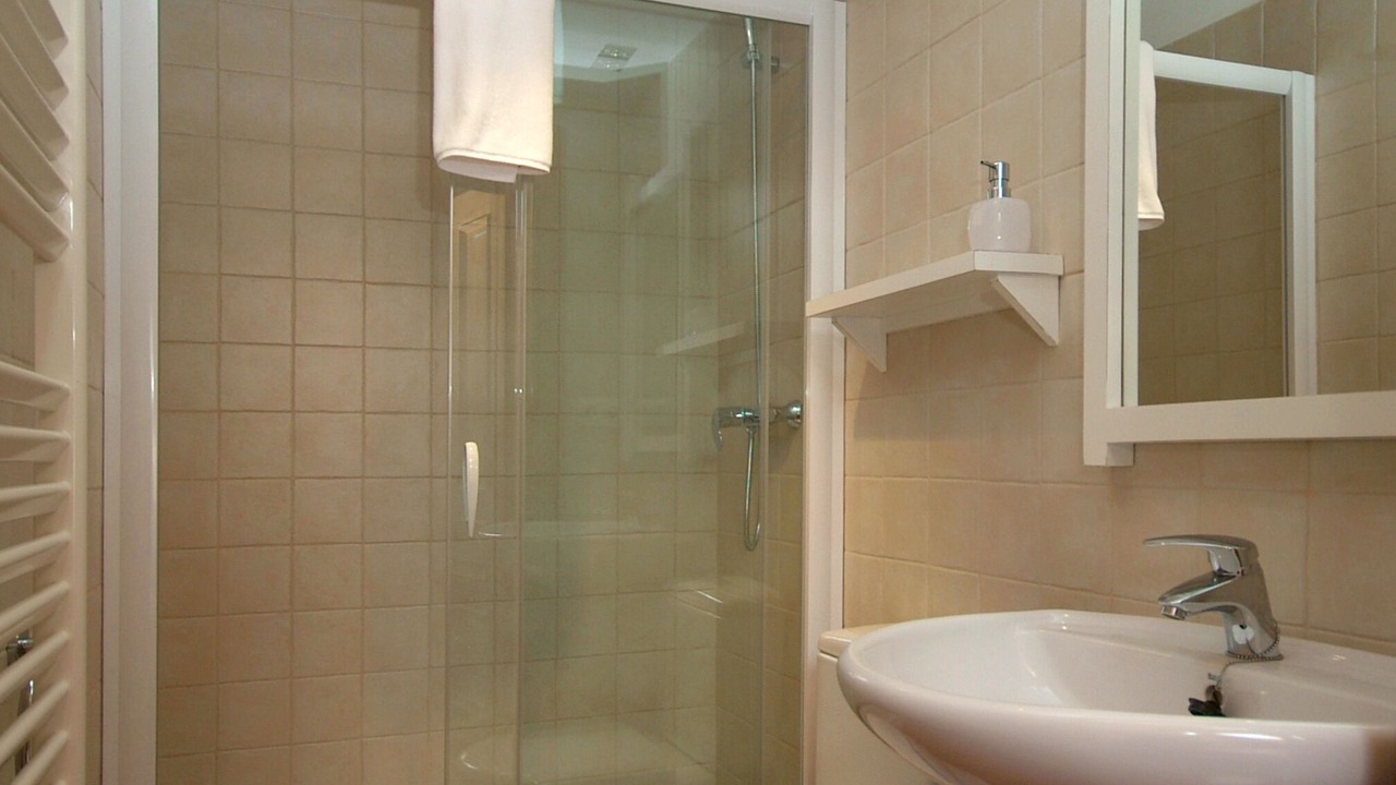 Photo of Bathroom in Salinas de Ibargoiti