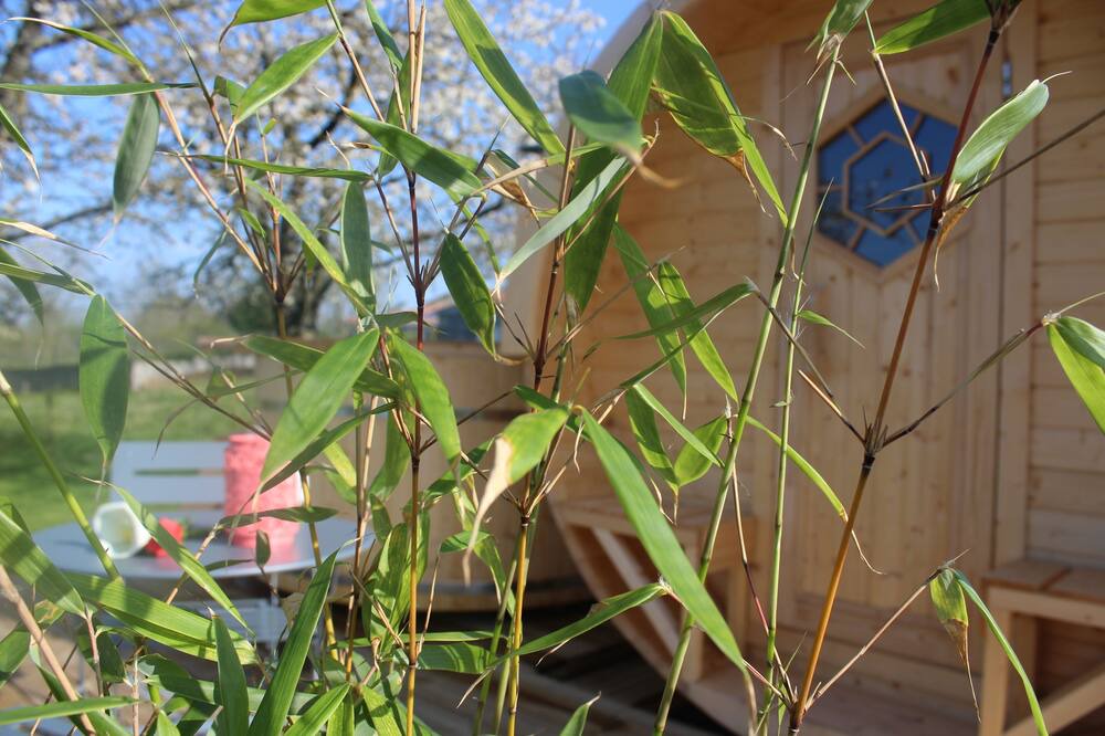 Photo of Outdoor in Saint-Michel-Mont-Mercure