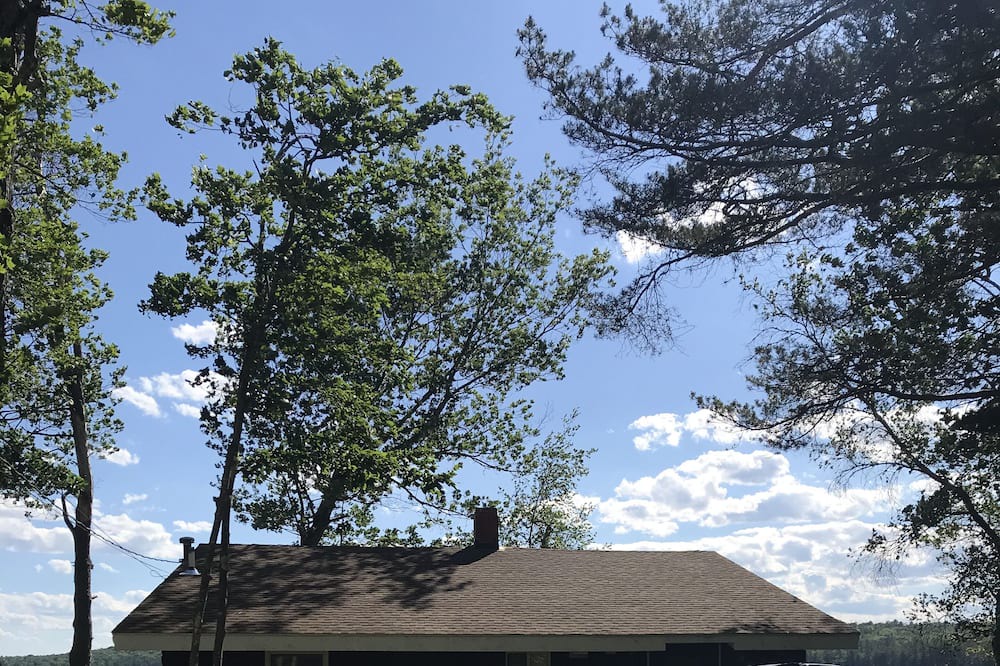 Photo of Outdoor in Harrison