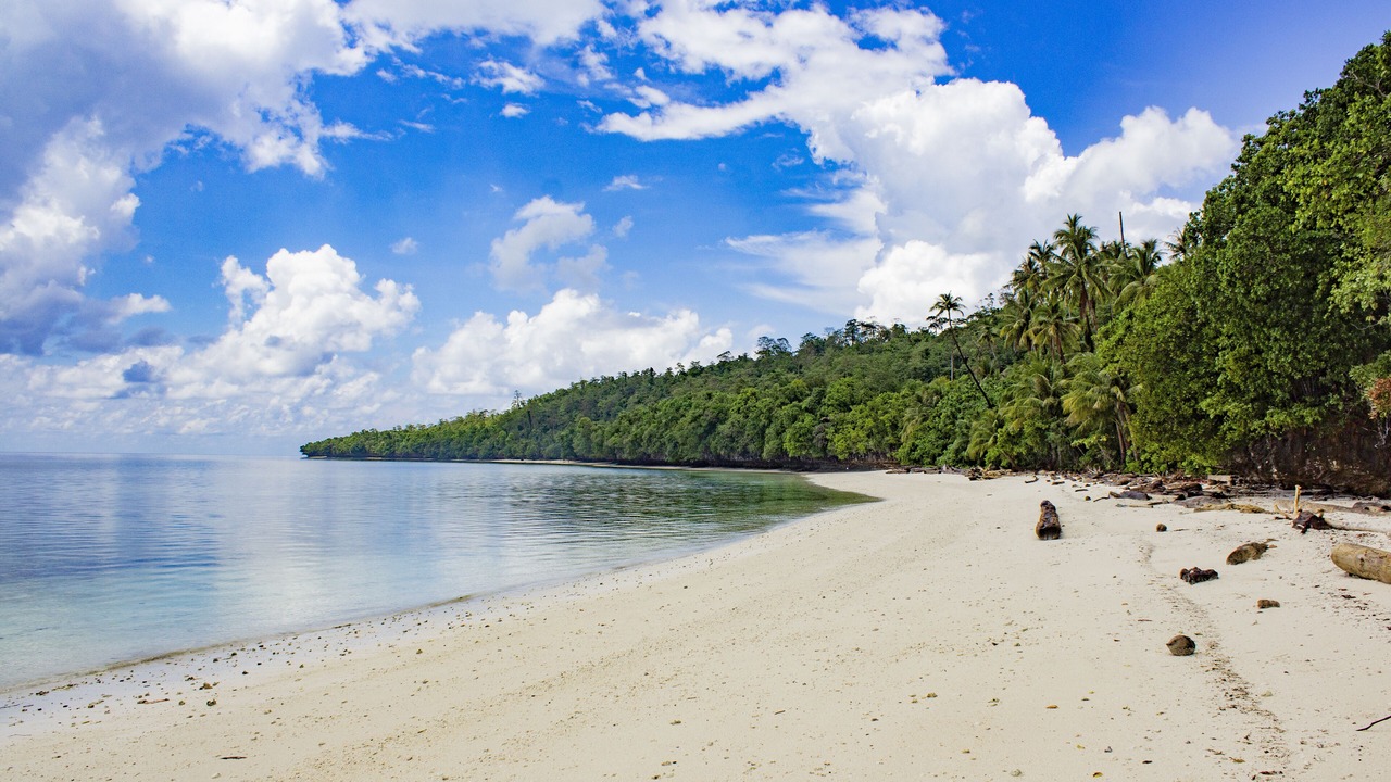 Photo of Others in Maratua Island